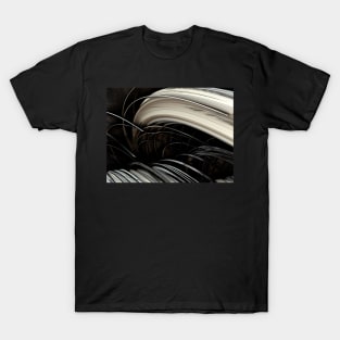 Fractals art...11 T-Shirt